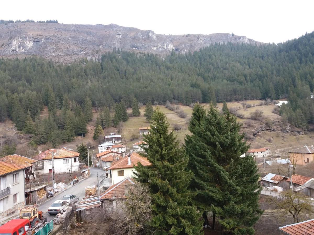 Къща За Гости Камината Trigrad Buitenkant foto