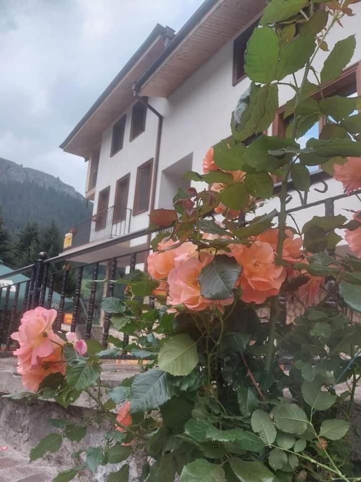 Къща За Гости Камината Trigrad Buitenkant foto